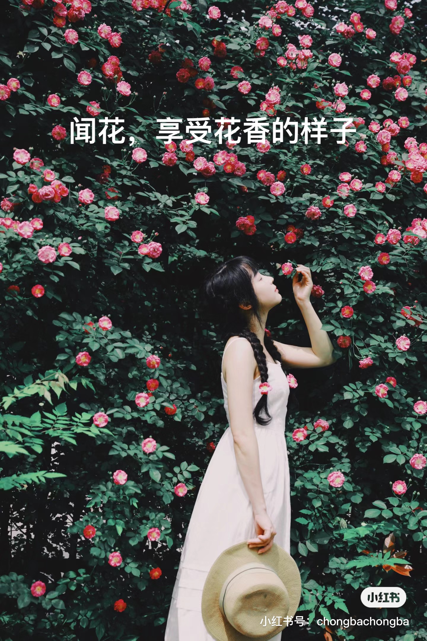 image-20240419075111894